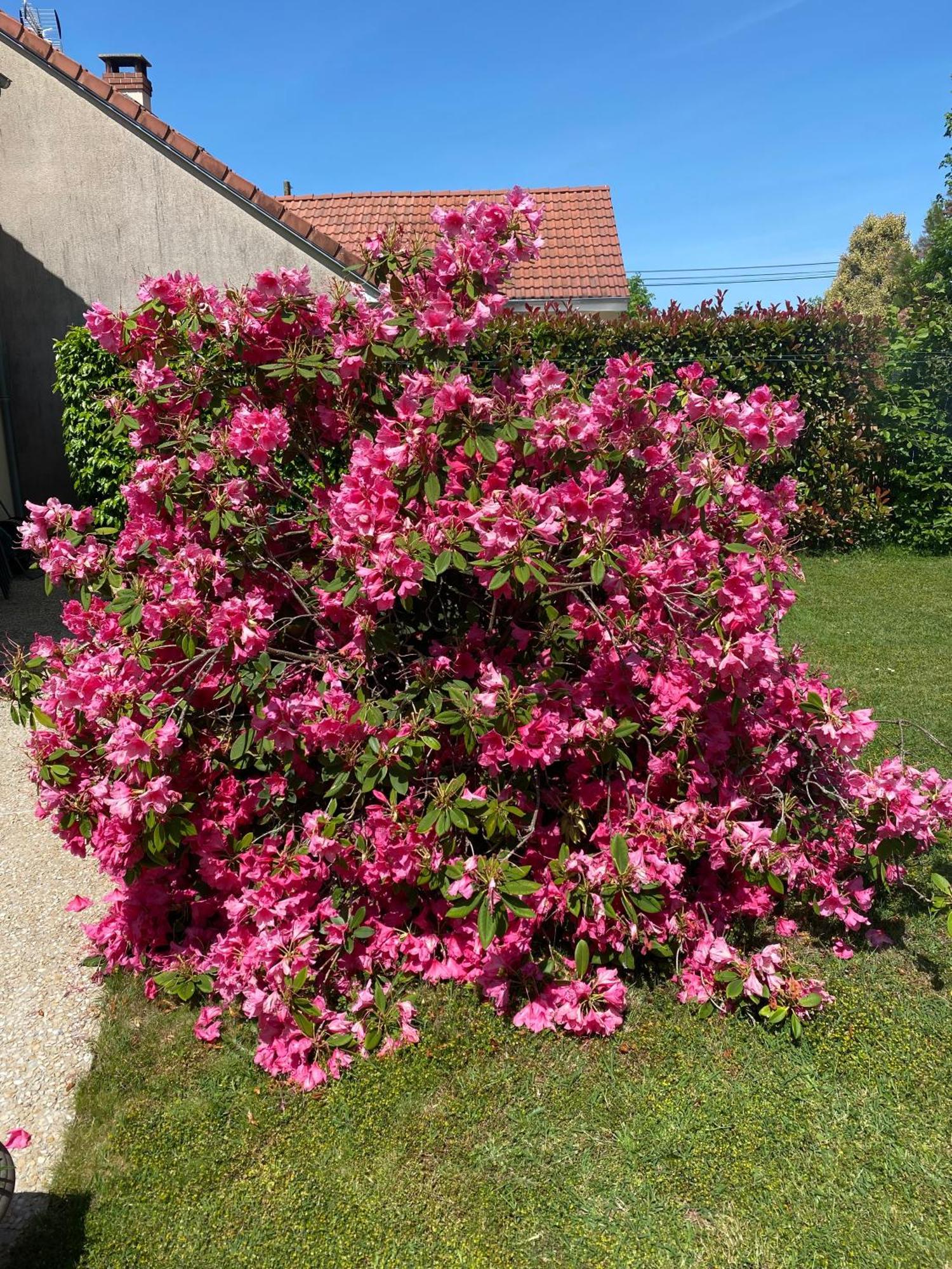 Le Petitepinay Bed & Breakfast Moitron-sur-Sarthe Dış mekan fotoğraf